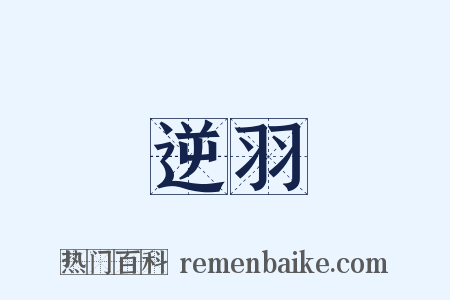 逆羽是什么意思的图片